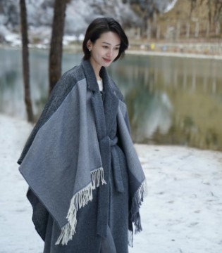 迪赛尼斯,2025,冬季,大衣,羽绒外套,加盟,招商