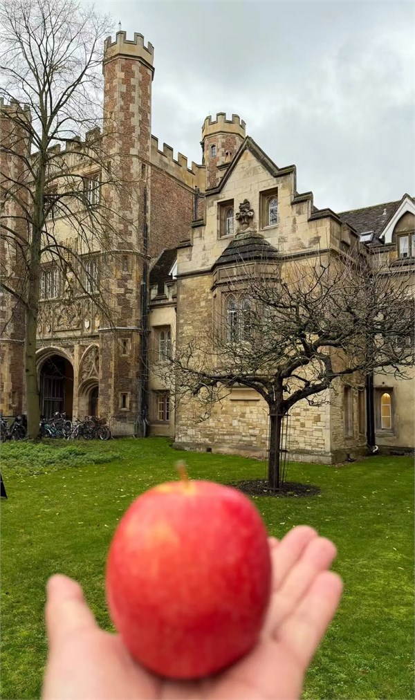 在剑桥，我们对海维恩有了新的想法！