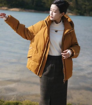 底色(Dins),2025冬季,短款,羽绒服,招商,加盟