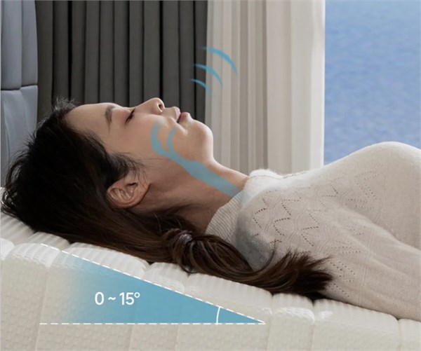 利豪家諾半分體電動智能床墊，頭部半分體獨立調(diào)節(jié)、內(nèi)置無感睡眠監(jiān)測儀、3D偏硬舒適睡感4099元起
