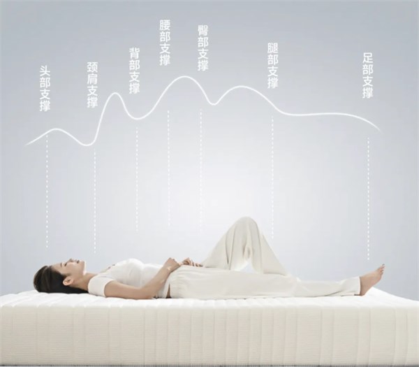 利豪家諾半分體電動智能床墊，頭部半分體獨立調(diào)節(jié)、內(nèi)置無感睡眠監(jiān)測儀、3D偏硬舒適睡感4099元起