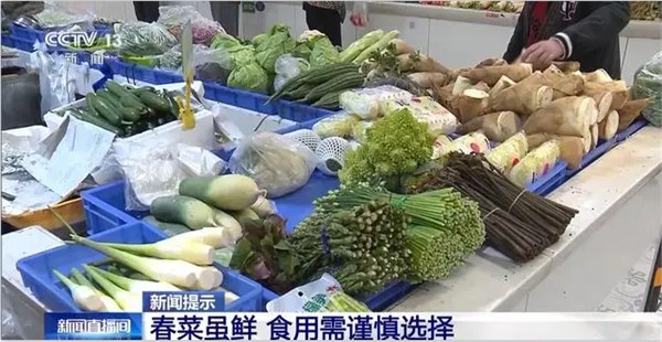 春菜鲜意满市，解锁春日“第一口鲜”