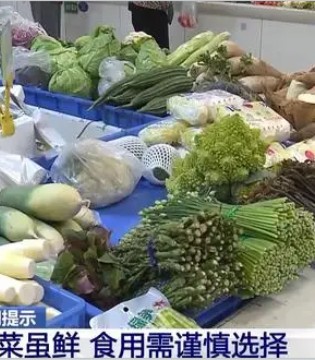 春菜,食鲜,健康