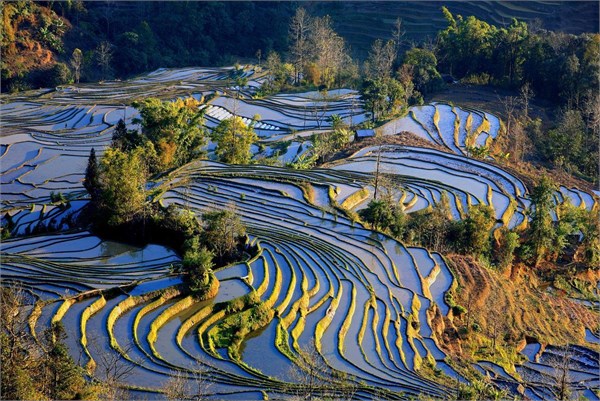 红河州的春日限定美景，正进入最后的倒计时，一旦错过，便要再等一载春秋。