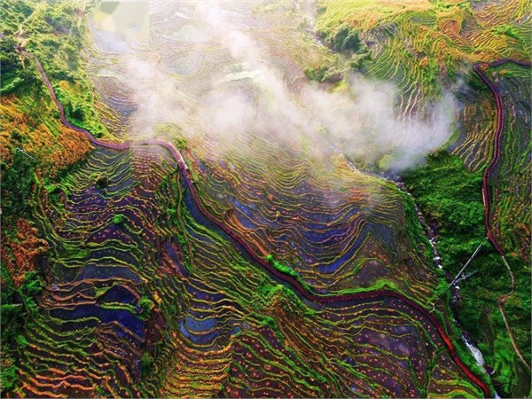 红河州的春日限定美景，正进入最后的倒计时，一旦错过，便要再等一载春秋。