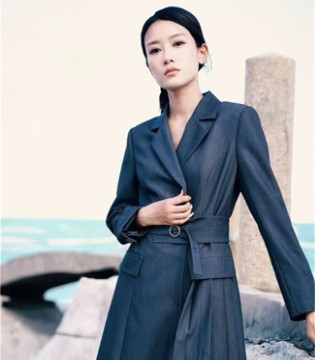 底色(Dins) ,2026春季,职场装,女装,裙子,招商,加盟