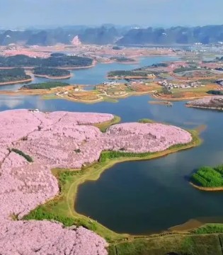 赏樱,交通,游玩