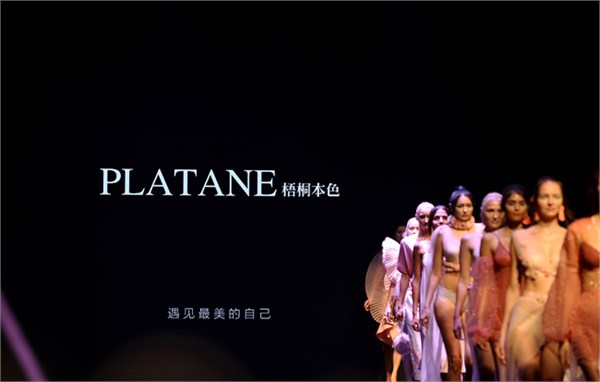 梧桐本色：在贴身私语里，遇见最本真的美