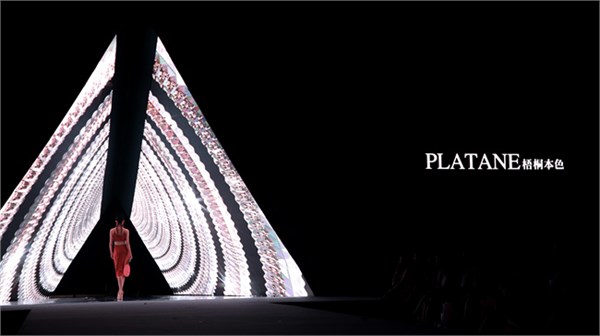 梧桐本色：在贴身私语里，遇见最本真的美