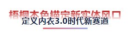 揭秘逆势增长核心 | 梧桐本色以新实体战略领跑内衣3.0时代