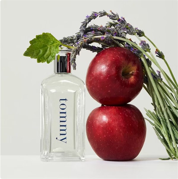 TOMMY HILFIGER 湯米菲格湯米男士淡香水30ML留香持久香氛