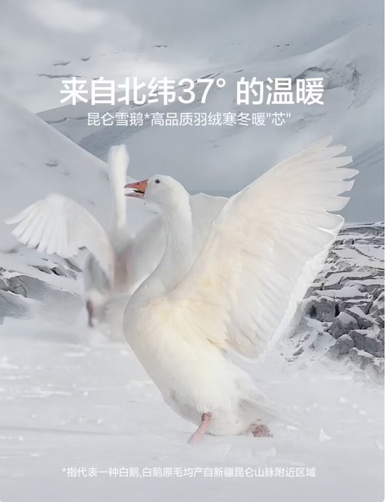 LOVO 羅萊生活A(yù)類 95%昆侖白鵝絨羽絨被 冬被 1000g填充200*230cm 白色