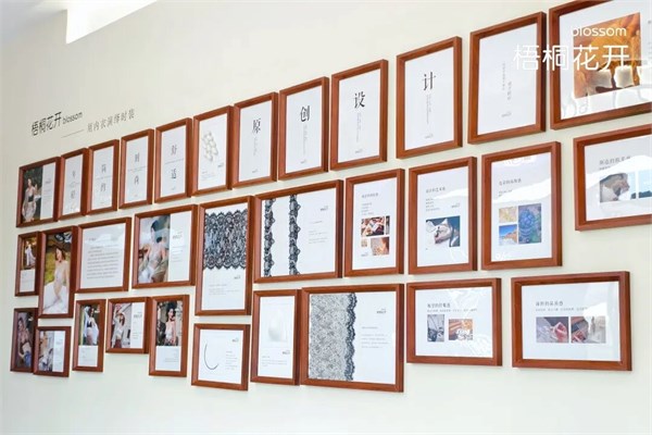 潮起潮落·又到花开烂漫时｜梧桐花开2026秋冬新品发布暨订货会圆满举行