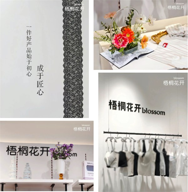 潮起潮落·又到花开烂漫时｜梧桐花开2026秋冬新品发布暨订货会圆满举行