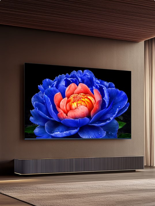 TCL 55V8L Pro 液晶電視 55英寸 4K