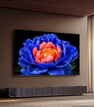 TCL 55V8L Pro 液晶电视 55英寸 4K