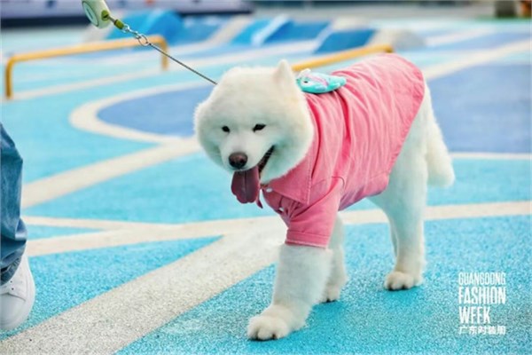 花生萌宠局：时尚与善意共生，广东时装周解锁人宠公益新范式
