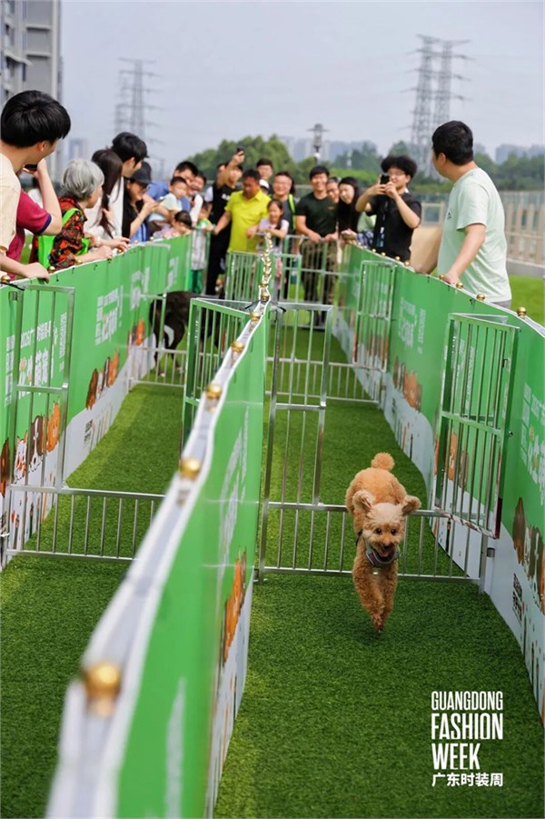 花生萌宠局：时尚与善意共生，广东时装周解锁人宠公益新范式
