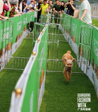花生萌宠局,时尚与善意共生,广东时装周,人宠公益,新范式