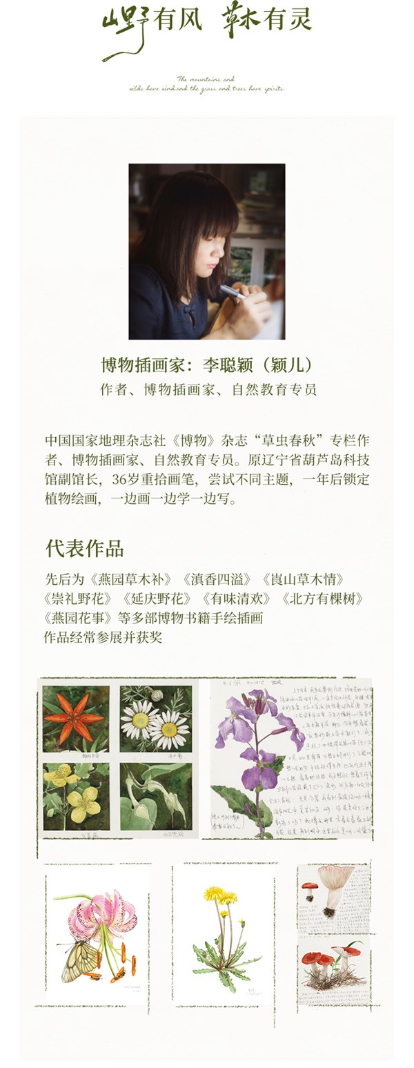 补丁生活，手绘蒲公英 如花在野，衣染自然