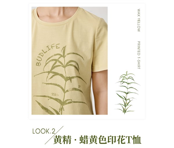 补丁生活，手绘蒲公英 如花在野，衣染自然