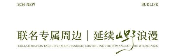 补丁生活，手绘蒲公英 如花在野，衣染自然
