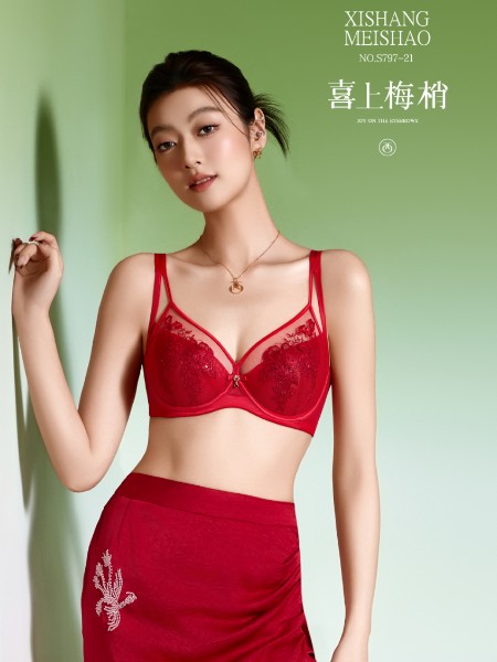 西维娅蚕丝内衣2025新款