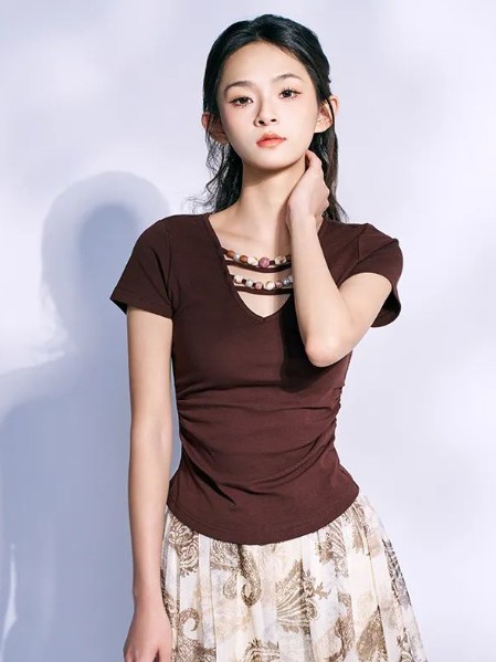 录上女装复古文艺小资短袖2025夏季新款