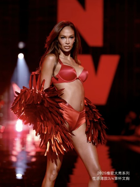 維多利亞的秘密內(nèi)衣睡衣品牌2025最新產(chǎn)品展示